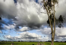 FB体育官网-火药味在第38分钟引爆。马尔科力压达米尔头球破门，落地时故意撞向对方肩膀。达米尔反手揪住他衣领怒吼，两人额头相抵的瞬间，全场惊呼“东契奇在防守东契奇！”这张赛后被疯传的“自我对抗”神图，让《图片报》打出德甲诞生史上最分裂个人秀。