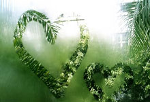 FB体育官网-火药味在第38分钟引爆。马尔科力压达米尔头球破门，落地时故意撞向对方肩膀。达米尔反手揪住他衣领怒吼，两人额头相抵的瞬间，全场惊呼“东契奇在防守东契奇！”这张赛后被疯传的“自我对抗”神图，让《图片报》打出德甲诞生史上最分裂个人秀。