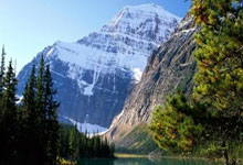 FB体育-西雅图海湾者球迷现场助威，激发球队夺冠斗志