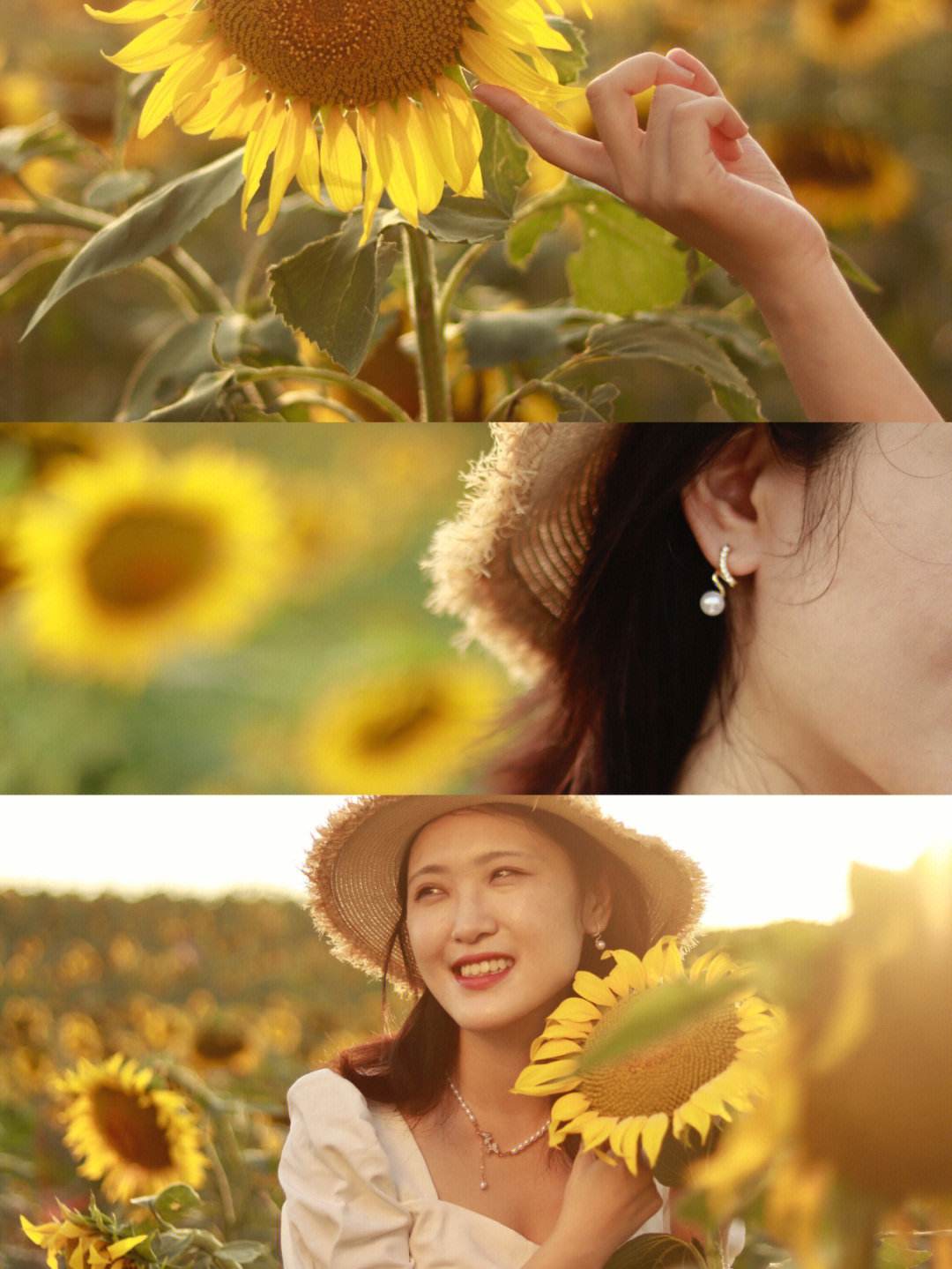 向日葵队客战失利,连续两轮不胜表现低迷的简单介绍 向日葵队客战失利,连续两轮不胜表现低迷的简单介绍