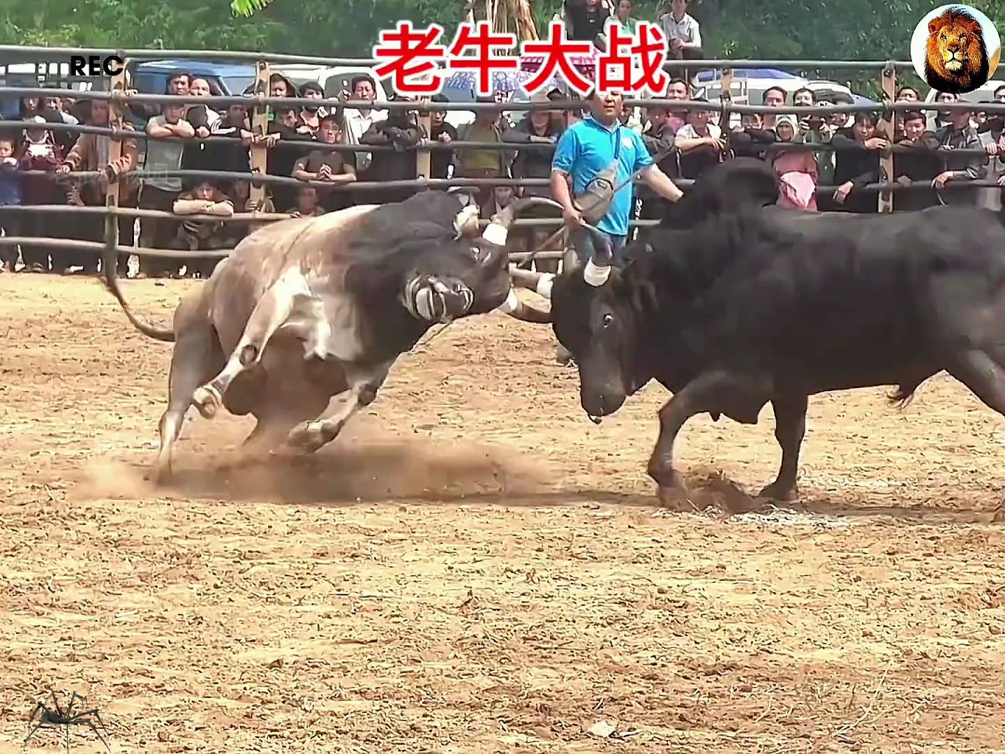 比赛场面精彩绝伦，实时报道火爆场面！